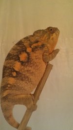 IMAG0451.jpg
