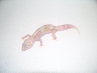 pics 007.jpg