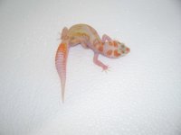 pics 019.jpg