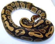 GEDC1394.JPG
