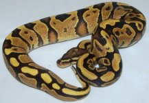 GEDC0883.jpg