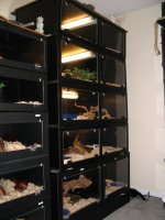 cages 10-29-09 007.jpg
