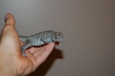 DSC_0018.jpg