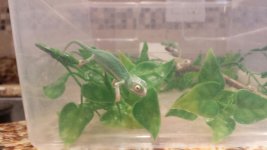 20131024_105046.jpg