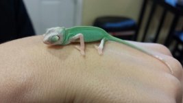 20131024_105801.jpg