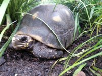 20130823_192805.jpg