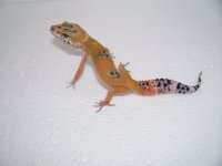 2013 babies 012.jpg
