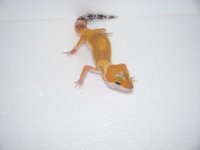 2013 babies 017.jpg