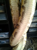 10-2013 017.jpg