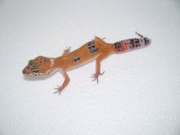2013 babies 032.jpg