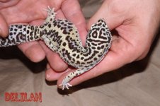 DSCF2366.jpg