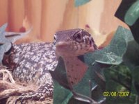 100_1396.jpg