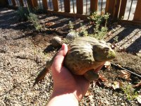 IMG_20131227_125154.jpg