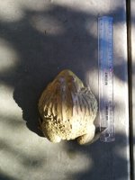 IMG_20131227_124836.jpg