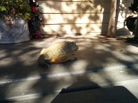 IMG_20131227_124908.jpg