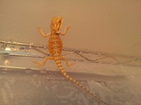 20140116_192104.jpg