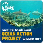 GreatfijiSharkCount.jpg