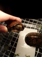 20131207_232417.jpg