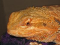 IMG_4431.JPG