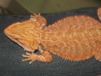 IMG_4497.JPG