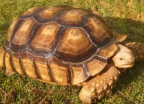 IMG_20130809_174206_184-1-1.jpg