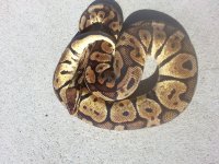 20130918_150509.jpg