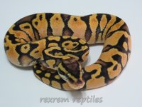 0122013pics.jpg