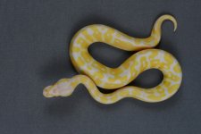IMG_9380.jpg