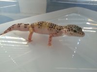 cell phone pics 2013 193.jpg