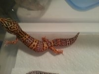 cell phone pics 2013 262.jpg