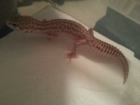 cell phone pics 2013 242.jpg