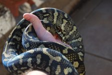 DSC_0112.jpg