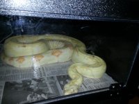 20130927_182927.jpg