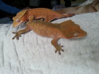 20130503_121216.jpg