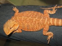 IMG_4530.JPG