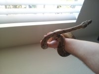 20130806_143355.jpg