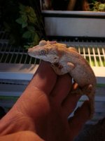 20131128_102406.jpg