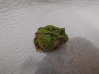 IMG_0203_zpsd569417f.jpg