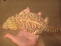 IMG_4792.JPG