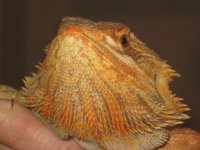 IMG_4794.JPG