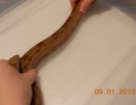 DSCN1070.JPG