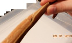 DSCN1072.JPG
