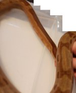 DSCN1075.JPG