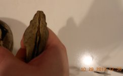 DSCN1121.JPG