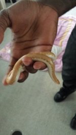 20131116_160923.jpg
