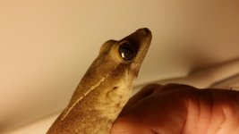 20140410_214441.jpg