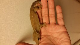 20140410_214349.jpg