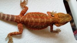 20131025_125621.jpg
