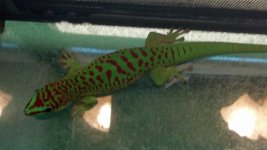 IMG_20130930_211907_635.jpg
