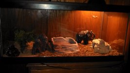retic cage.jpg